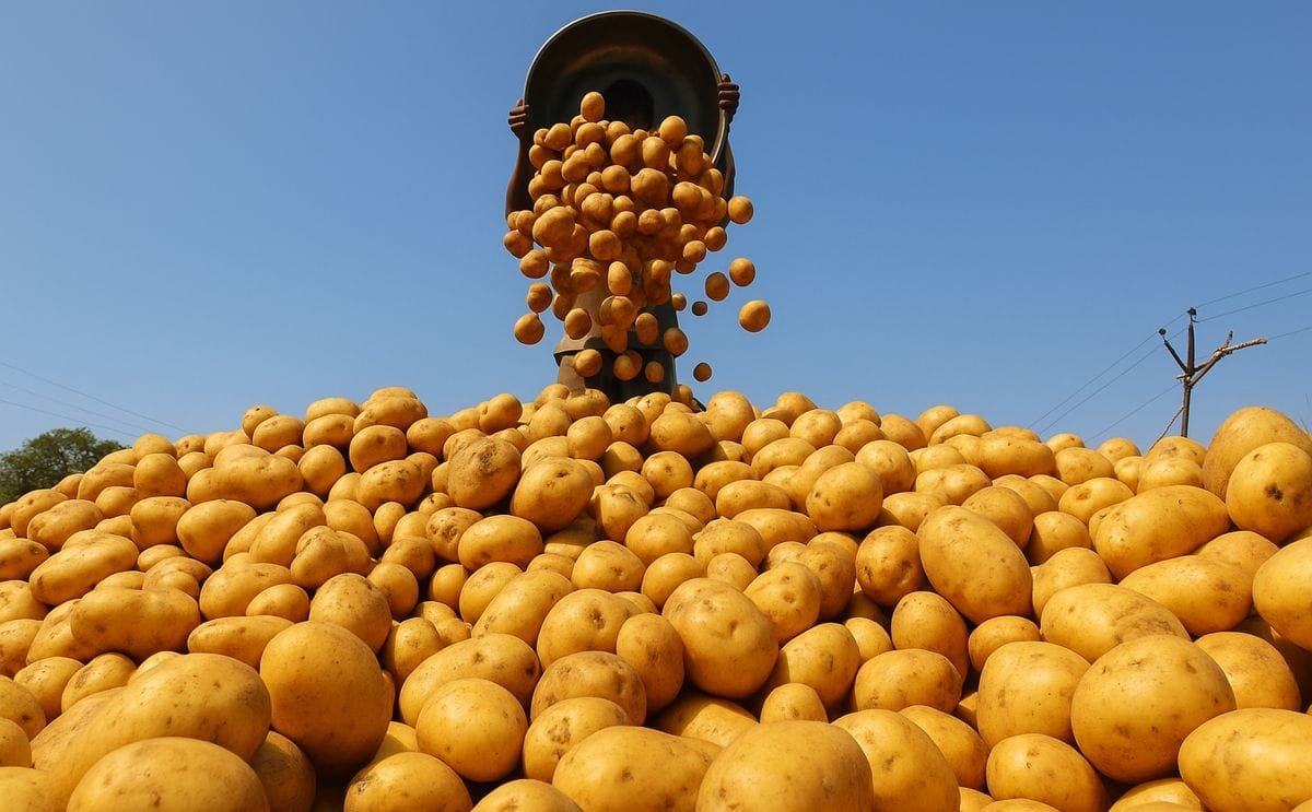 Potatoes