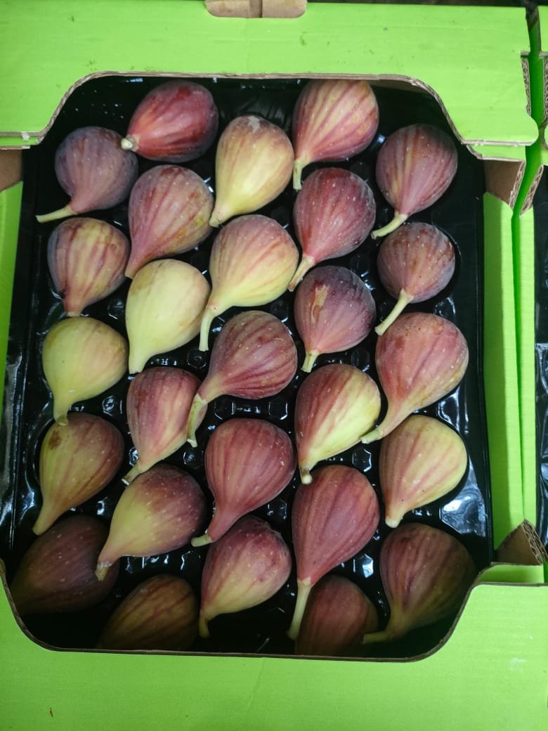 Figs